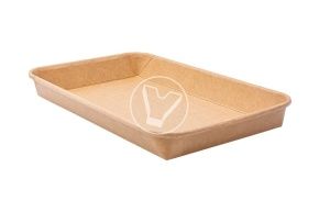 პრატიკოს კონტეინერი, 221*138*24მმ