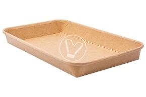 პრატიკოს კონტეინერი, 221*138*24მმ