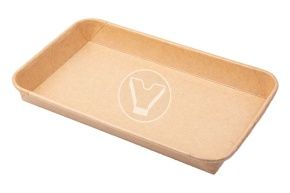 პრატიკოს კონტეინერი, 221*138*24მმ